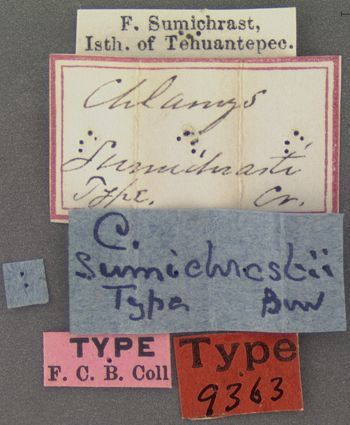 Media type: image; Entomology 9363   Aspect: labels